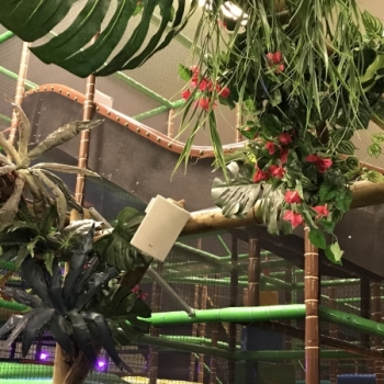 Geuren en muziek bij Monkey Town