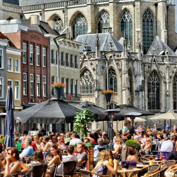 Terras Haarlem horeca gasten